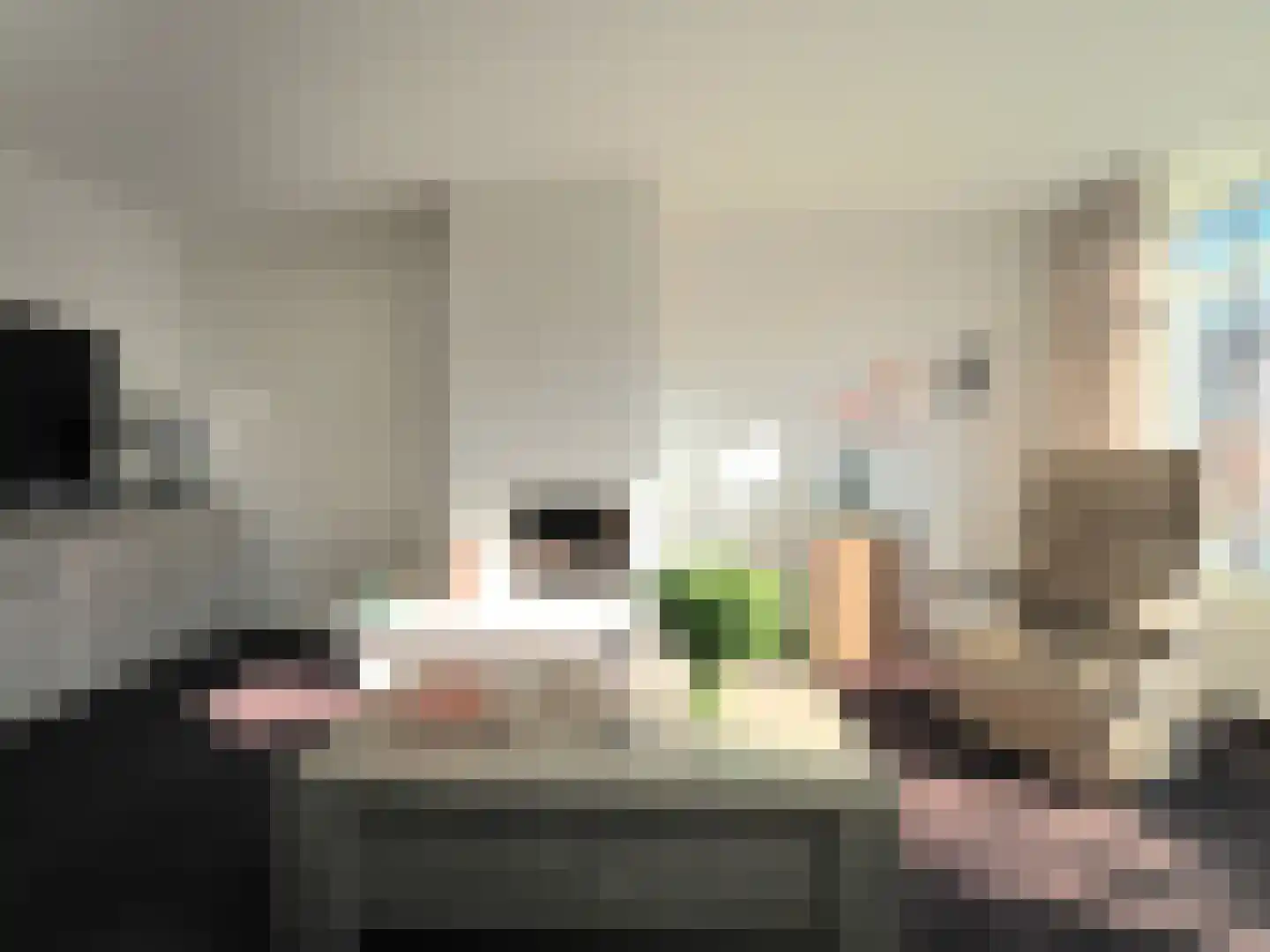 Adriaen van Ostadestraat 7 Papendrecht thumbnail 12