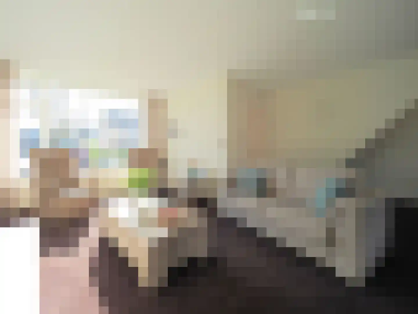 Adriaen van Ostadestraat 7 Papendrecht thumbnail 13