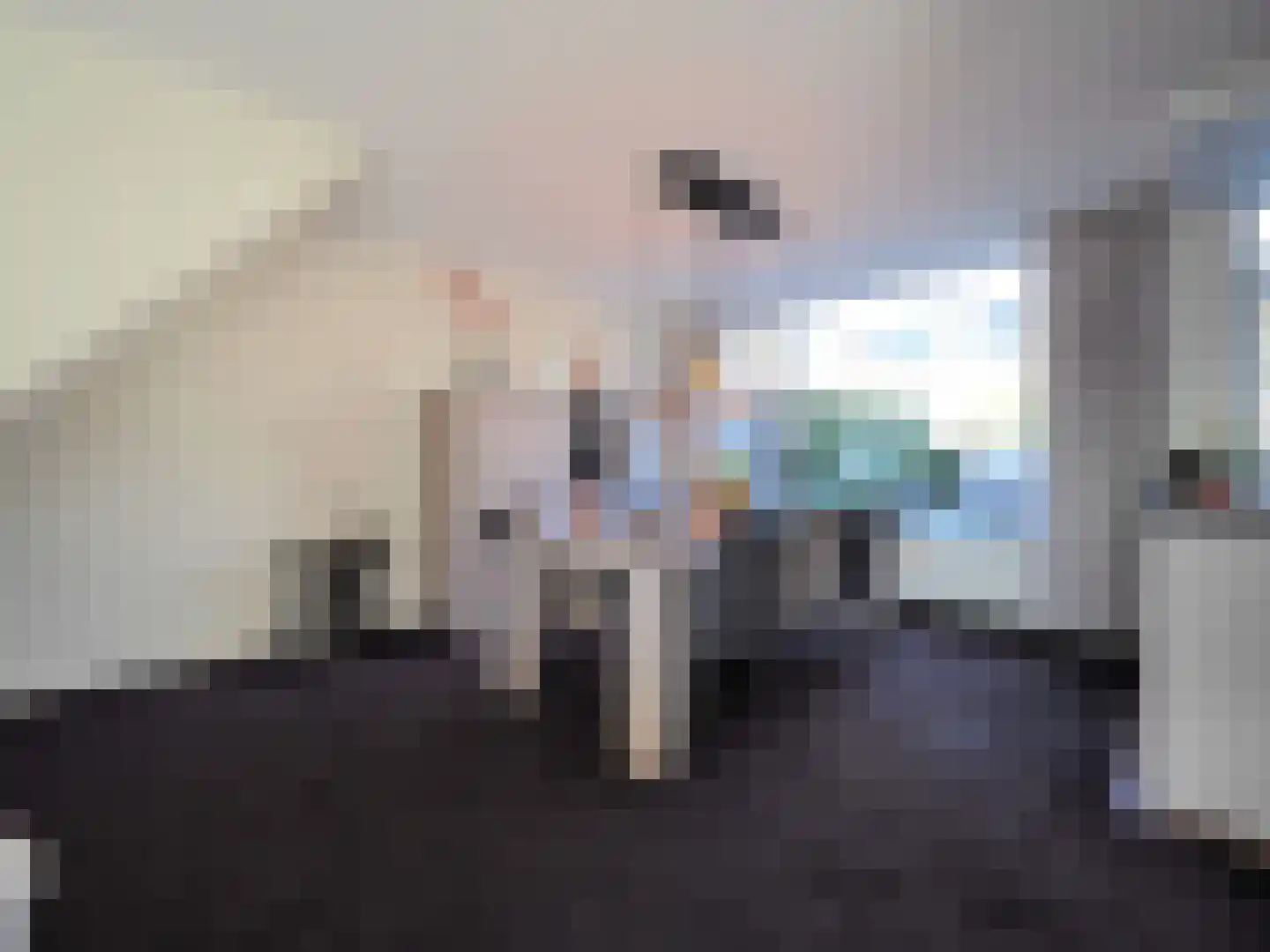 Adriaen van Ostadestraat 7 Papendrecht thumbnail 15