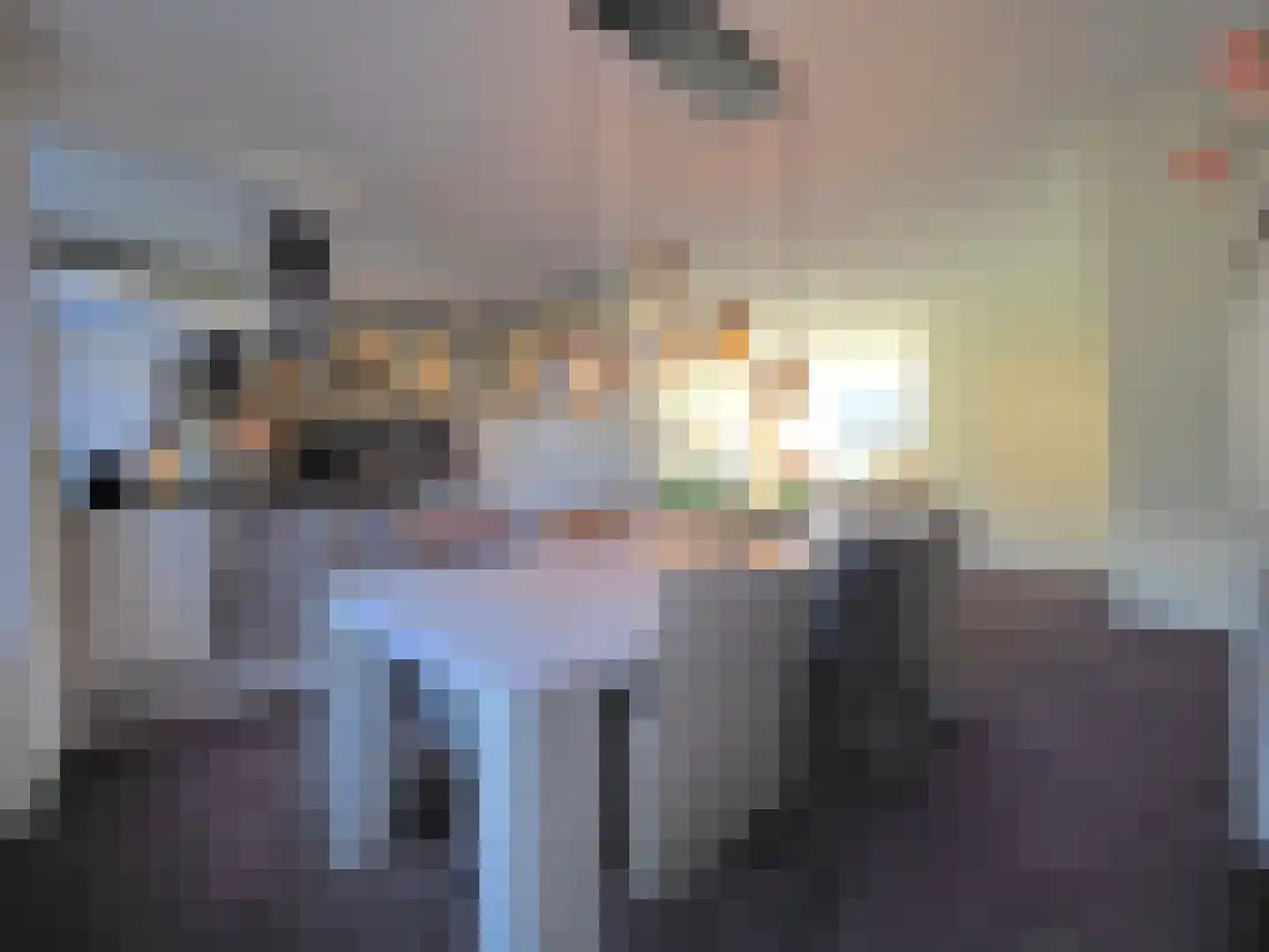 Adriaen van Ostadestraat 7 Papendrecht thumbnail 20
