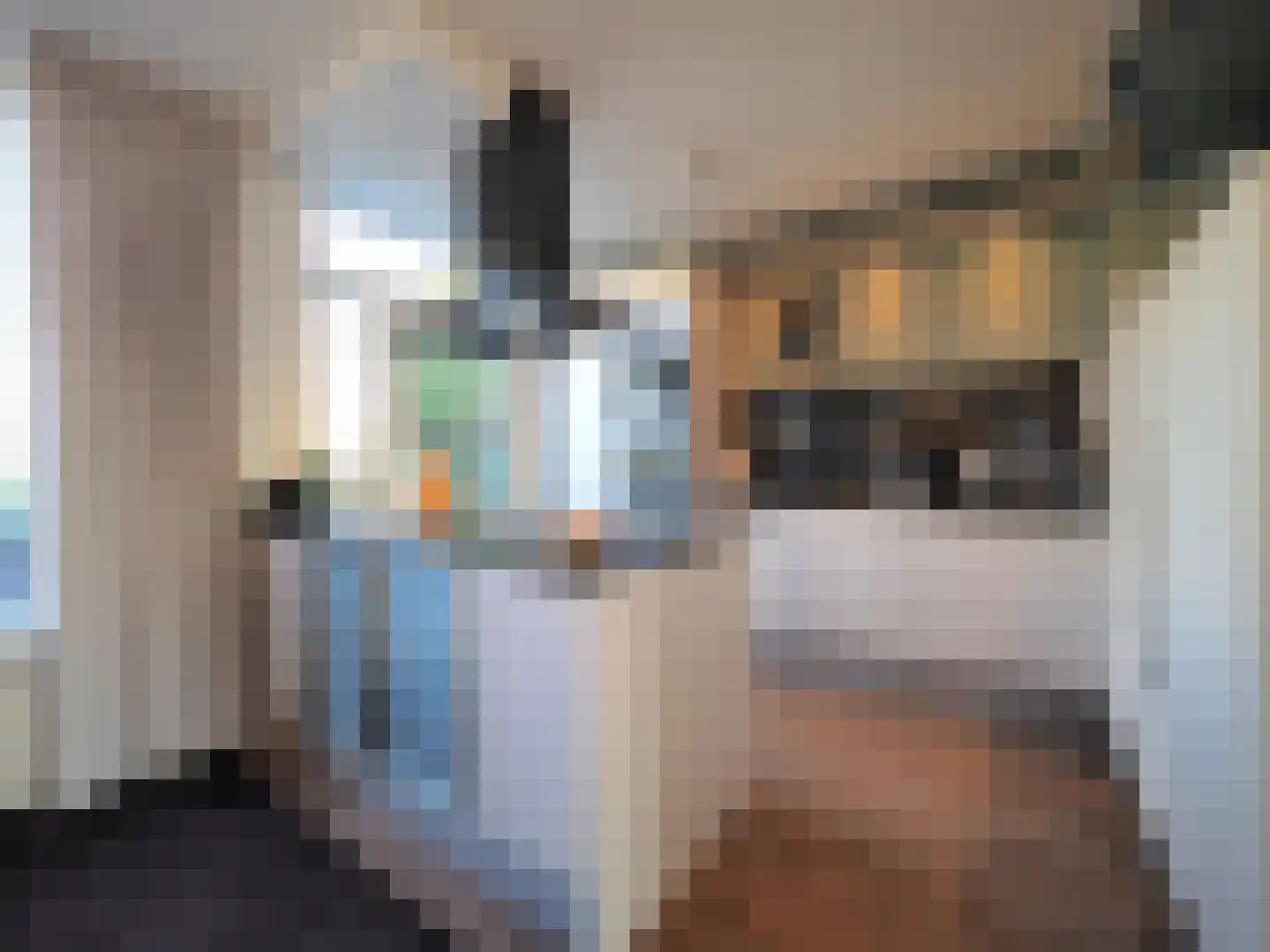 Adriaen van Ostadestraat 7 Papendrecht thumbnail 21