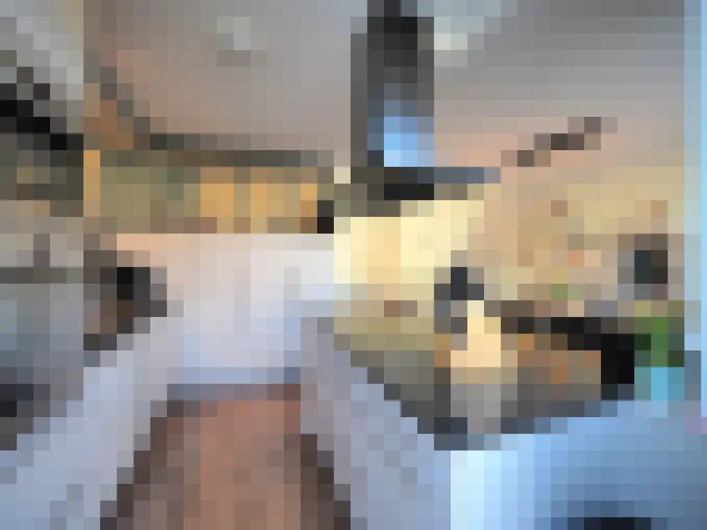 Adriaen van Ostadestraat 7 Papendrecht thumbnail 22