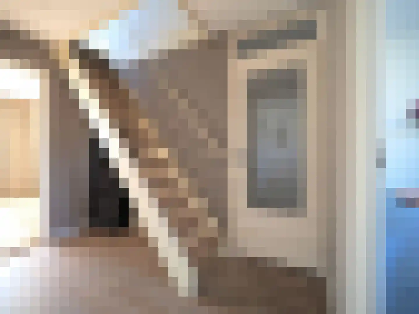 Adriaen van Ostadestraat 7 Papendrecht thumbnail 25