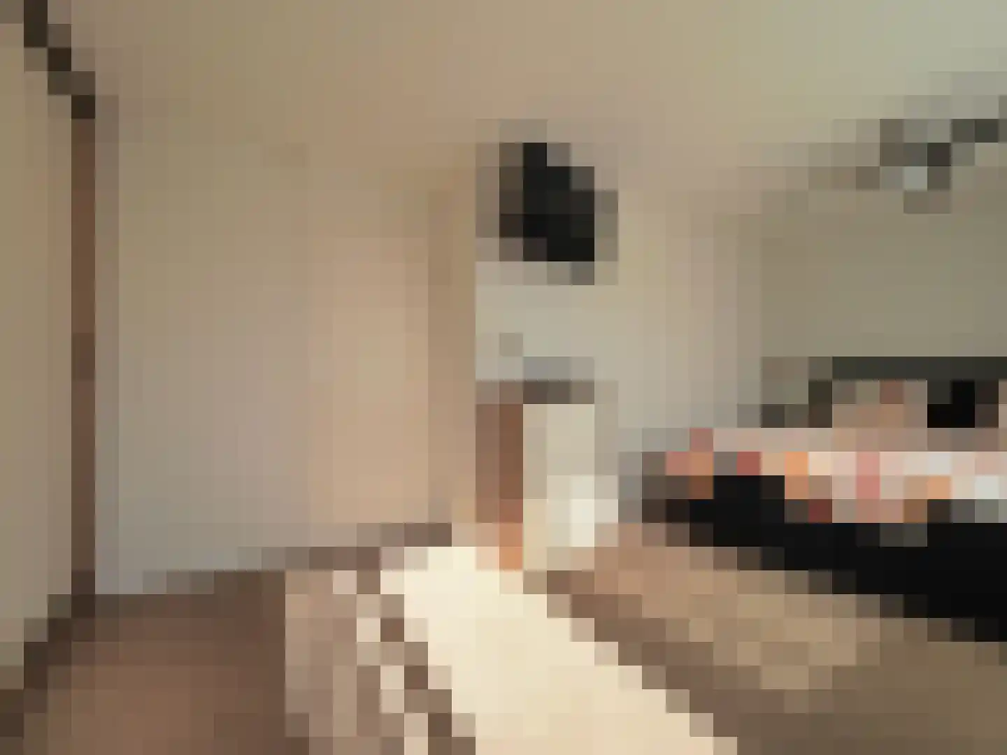 Adriaen van Ostadestraat 7 Papendrecht thumbnail 27
