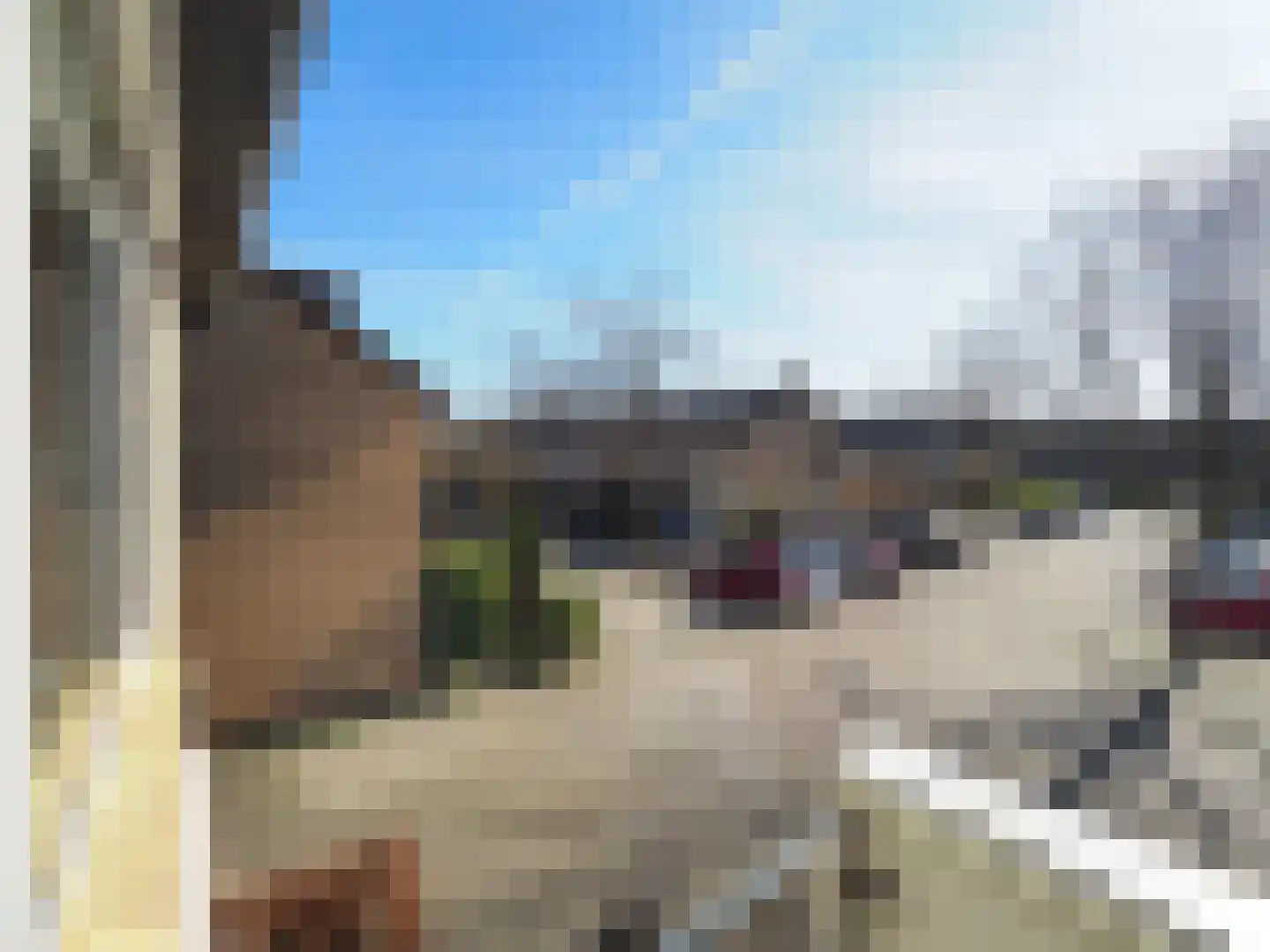 Adriaen van Ostadestraat 7 Papendrecht thumbnail 31