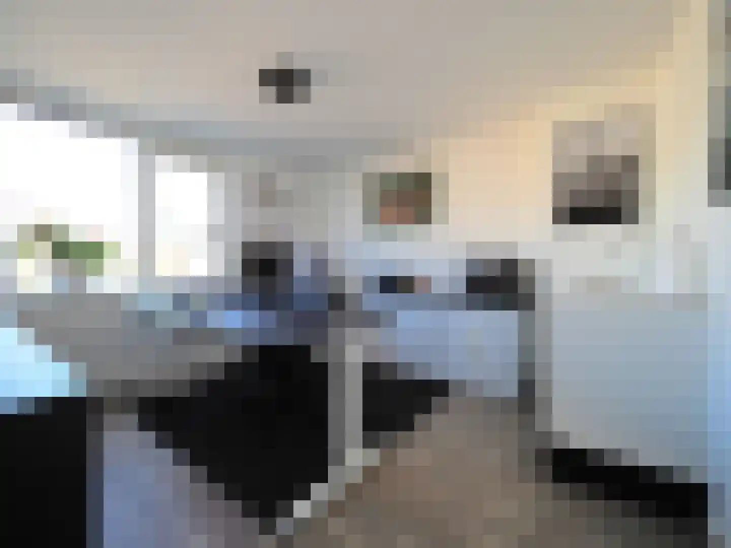 Adriaen van Ostadestraat 7 Papendrecht thumbnail 33