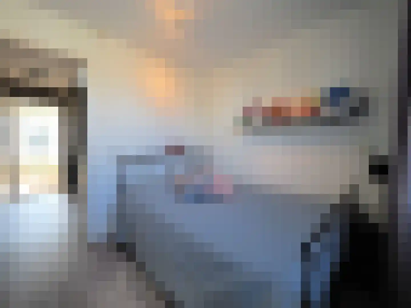 Adriaen van Ostadestraat 7 Papendrecht thumbnail 38