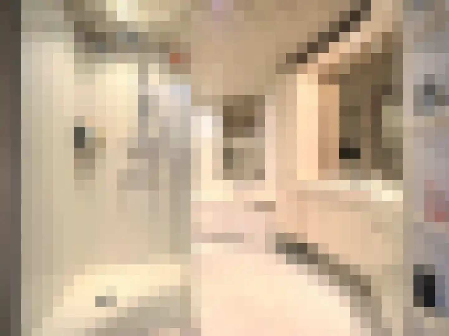 Adriaen van Ostadestraat 7 Papendrecht thumbnail 39