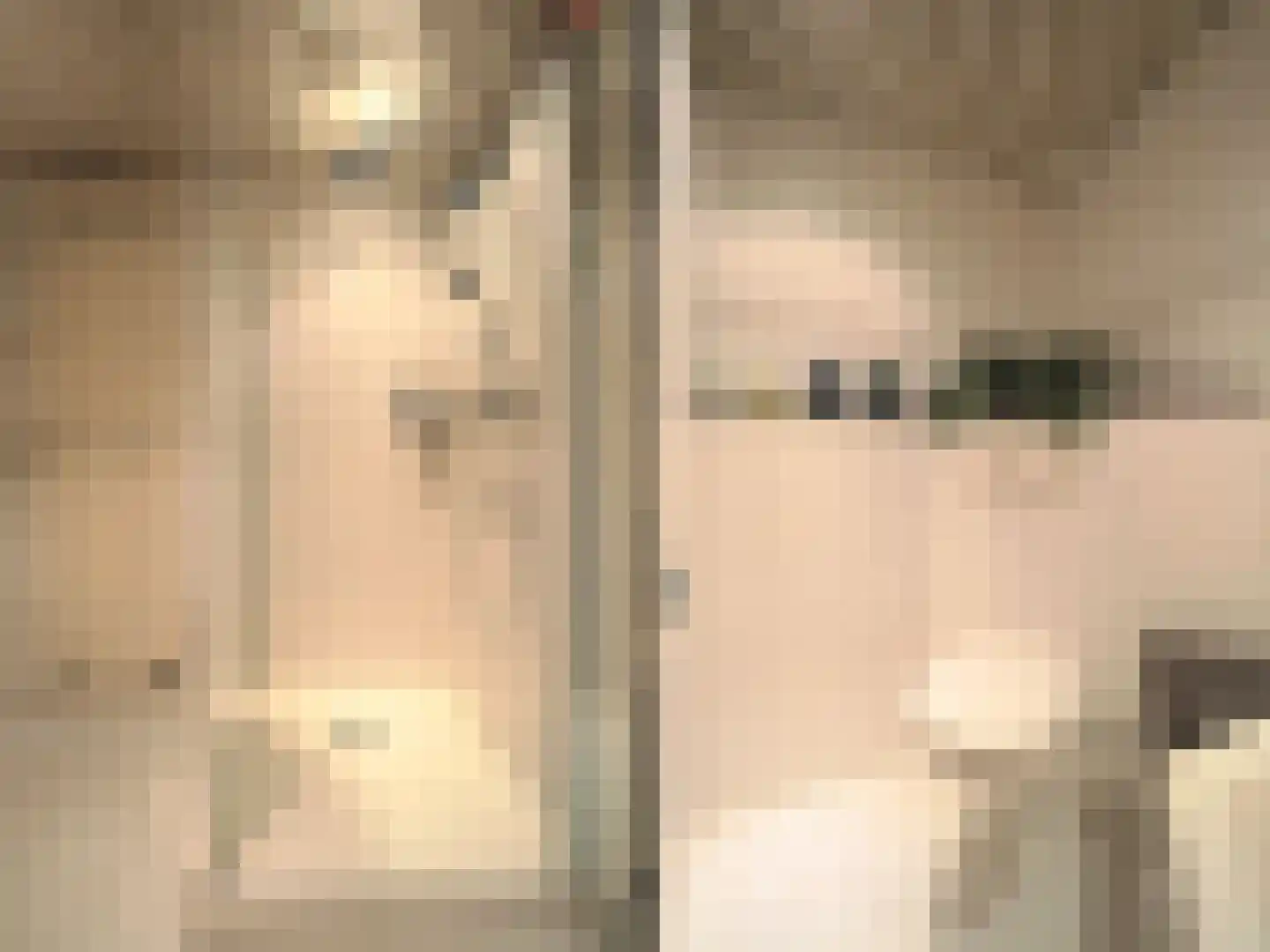 Adriaen van Ostadestraat 7 Papendrecht thumbnail 41