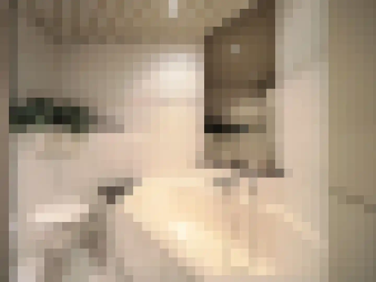 Adriaen van Ostadestraat 7 Papendrecht thumbnail 42