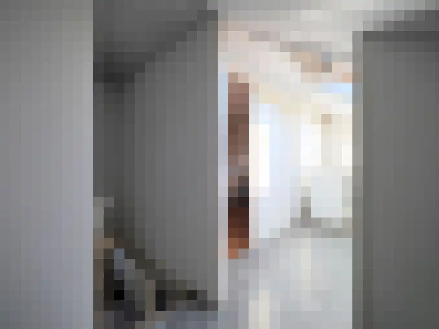 Adriaen van Ostadestraat 7 Papendrecht thumbnail 43