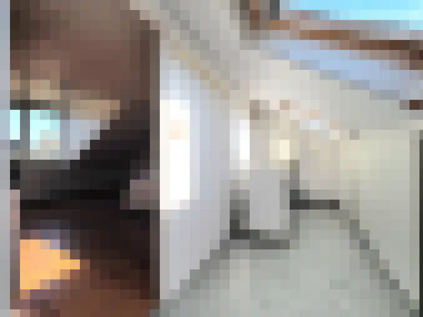 Adriaen van Ostadestraat 7 Papendrecht thumbnail 44