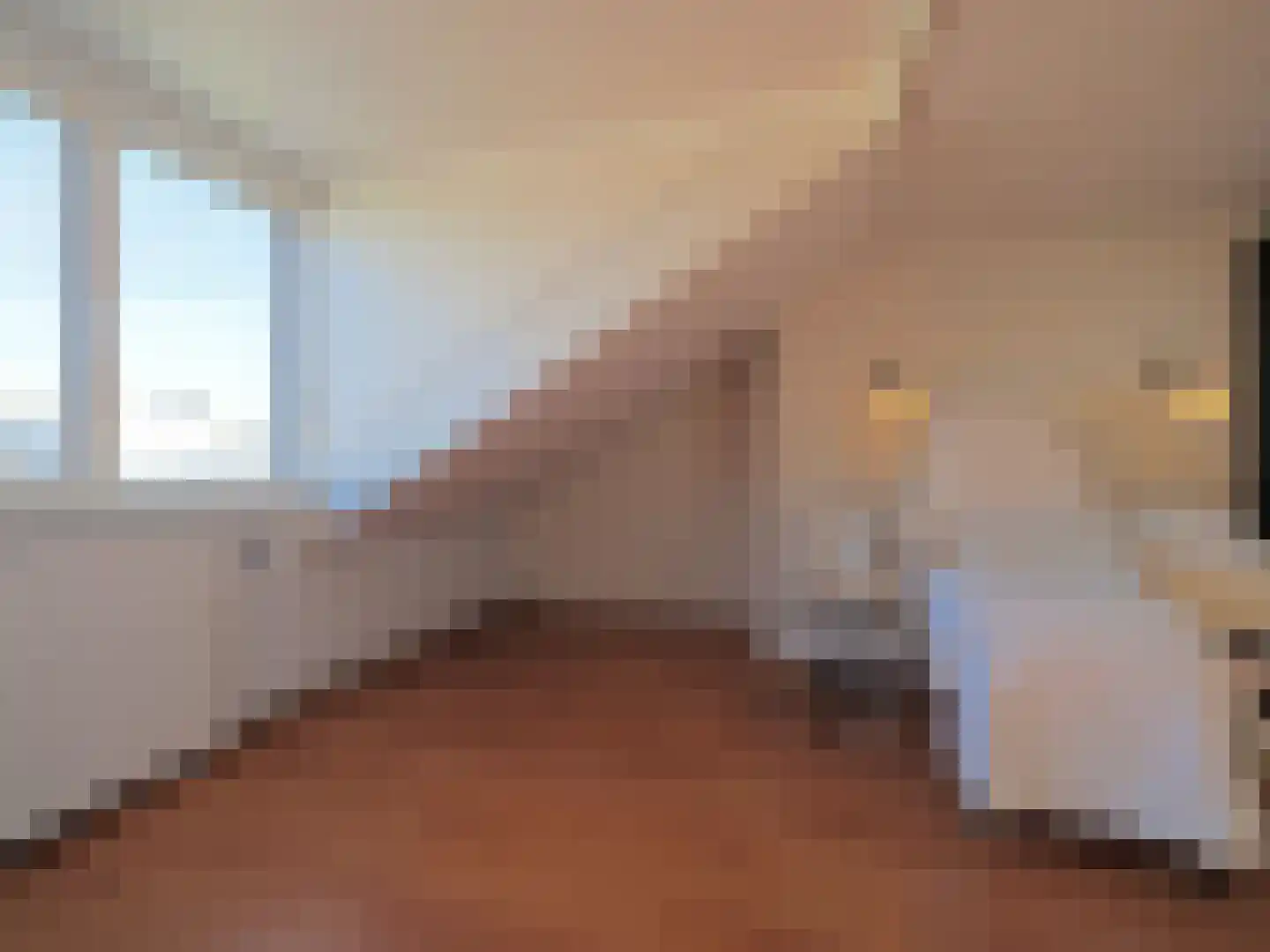 Adriaen van Ostadestraat 7 Papendrecht thumbnail 48