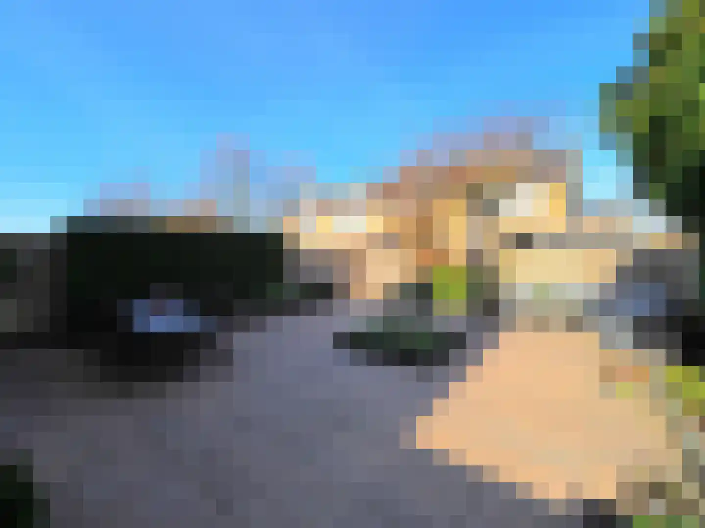 Adriaen van Ostadestraat 7 Papendrecht thumbnail 51