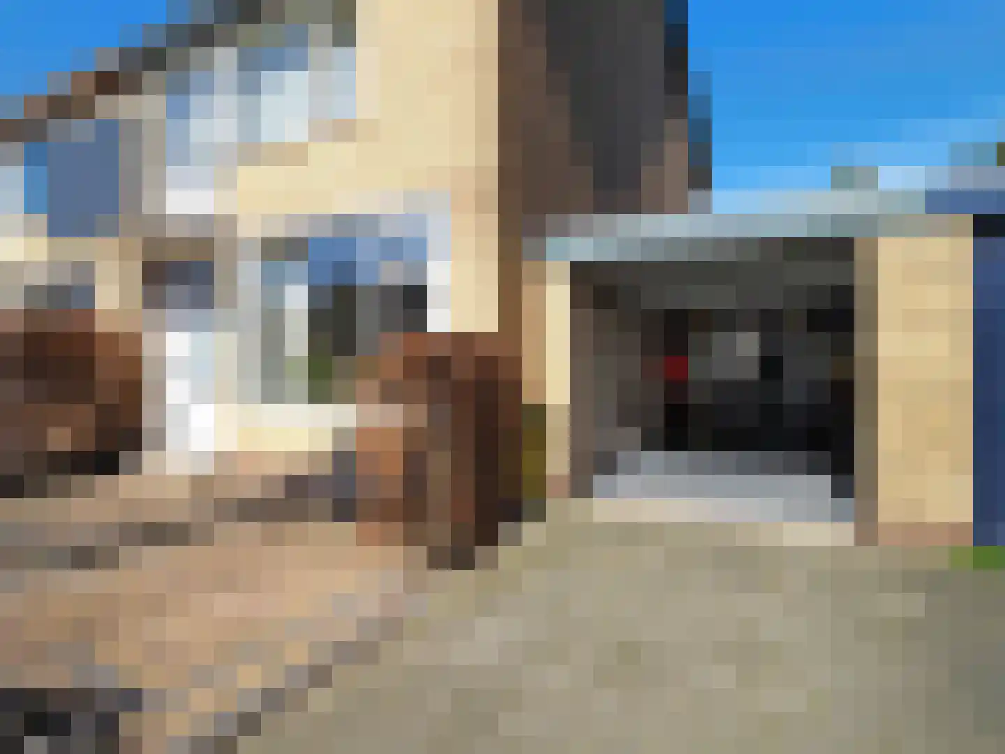 Adriaen van Ostadestraat 7 Papendrecht thumbnail 57