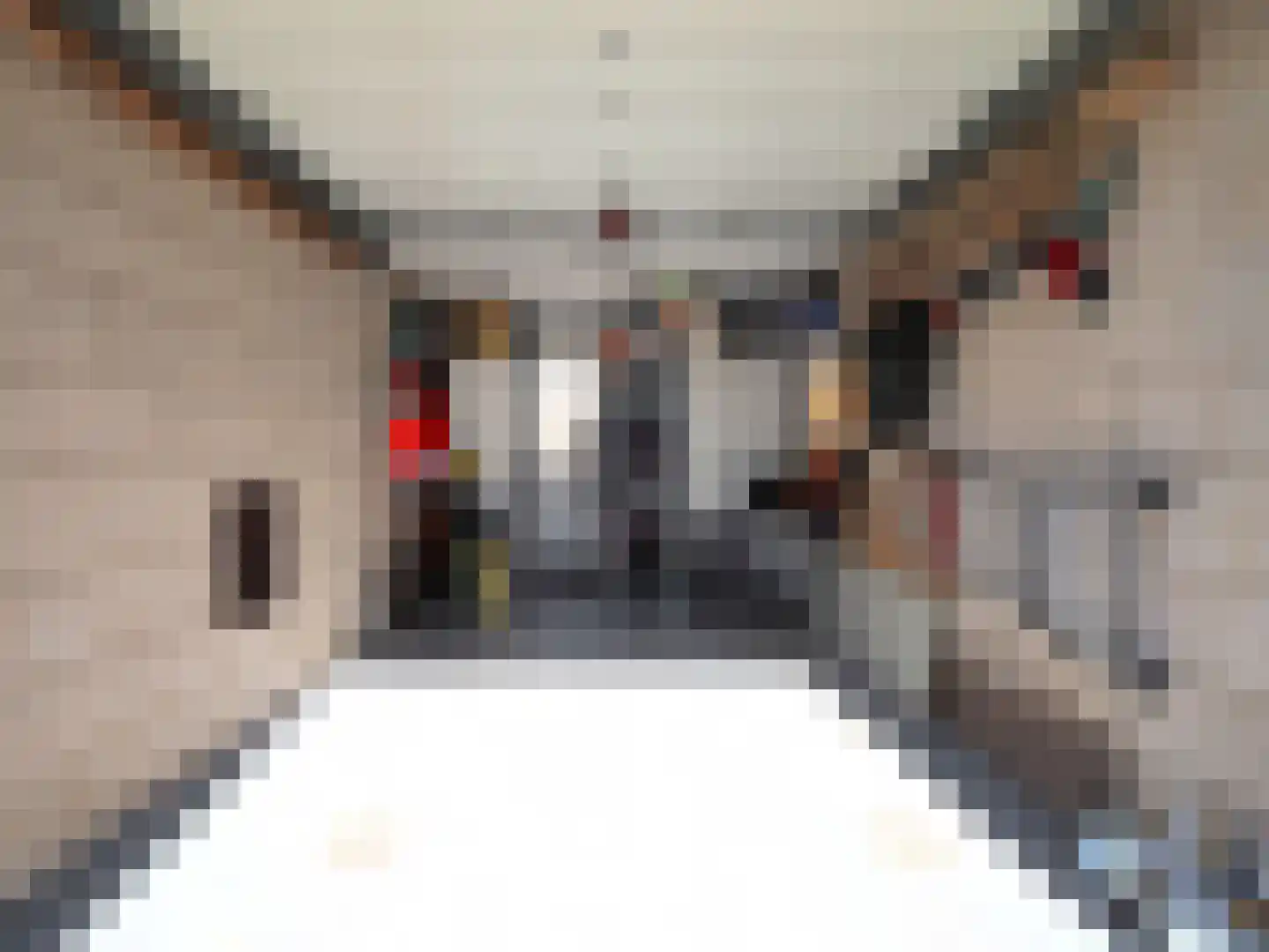 Adriaen van Ostadestraat 7 Papendrecht thumbnail 59