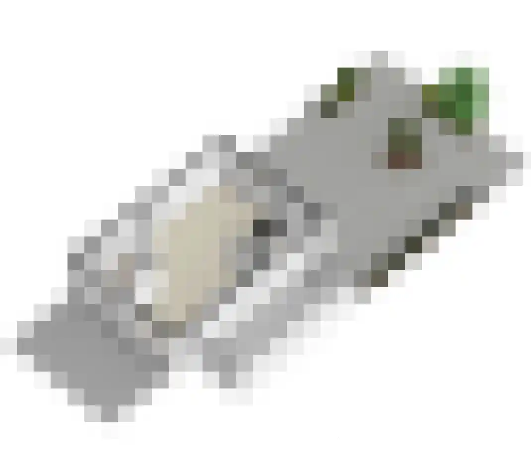 Adriaen van Ostadestraat 7 Papendrecht thumbnail 64