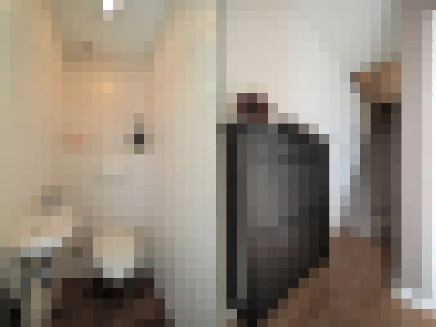 Adriaen van Ostadestraat 7 Papendrecht thumbnail 7