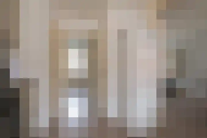 Adriaen van Ostadestraat 8 Almelo thumbnail 11