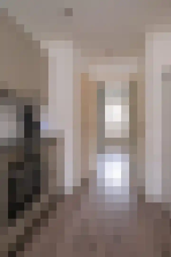 Adriaen van Ostadestraat 8 Almelo thumbnail 12