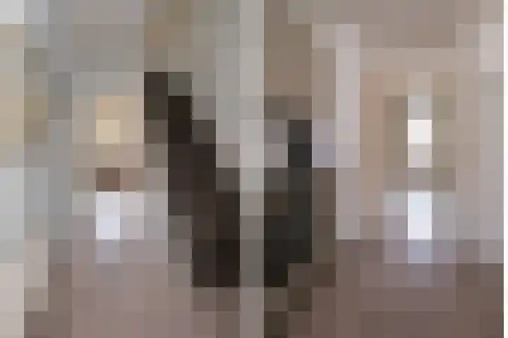 Adriaen van Ostadestraat 8 Almelo thumbnail 14