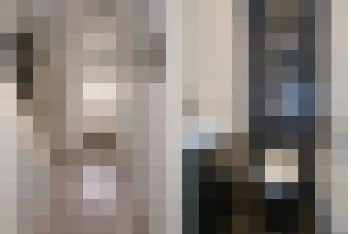Adriaen van Ostadestraat 8 Almelo thumbnail 16