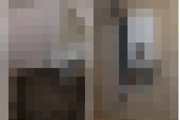 Adriaen van Ostadestraat 8 Almelo thumbnail 28