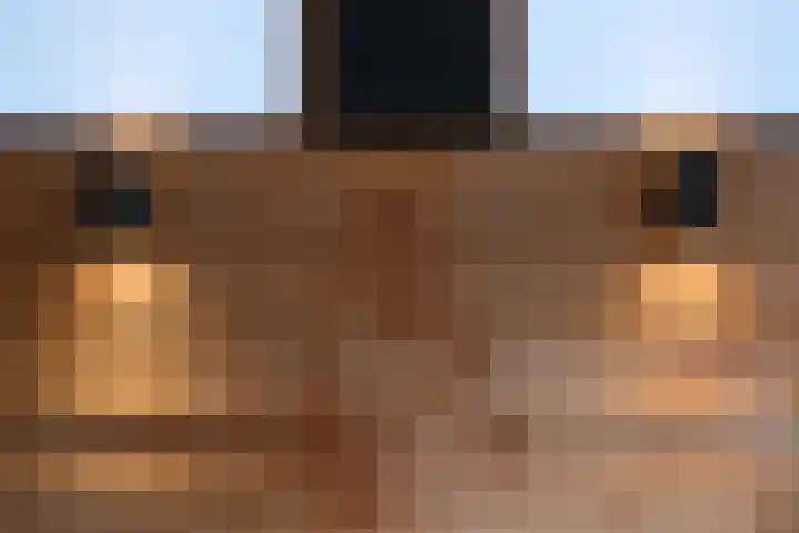 Adriaen van Ostadestraat 8 Almelo thumbnail 33