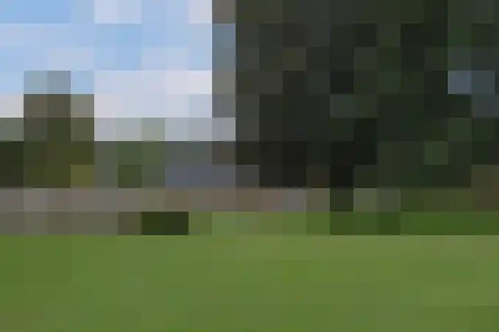 Adriaen van Ostadestraat 8 Almelo thumbnail 38