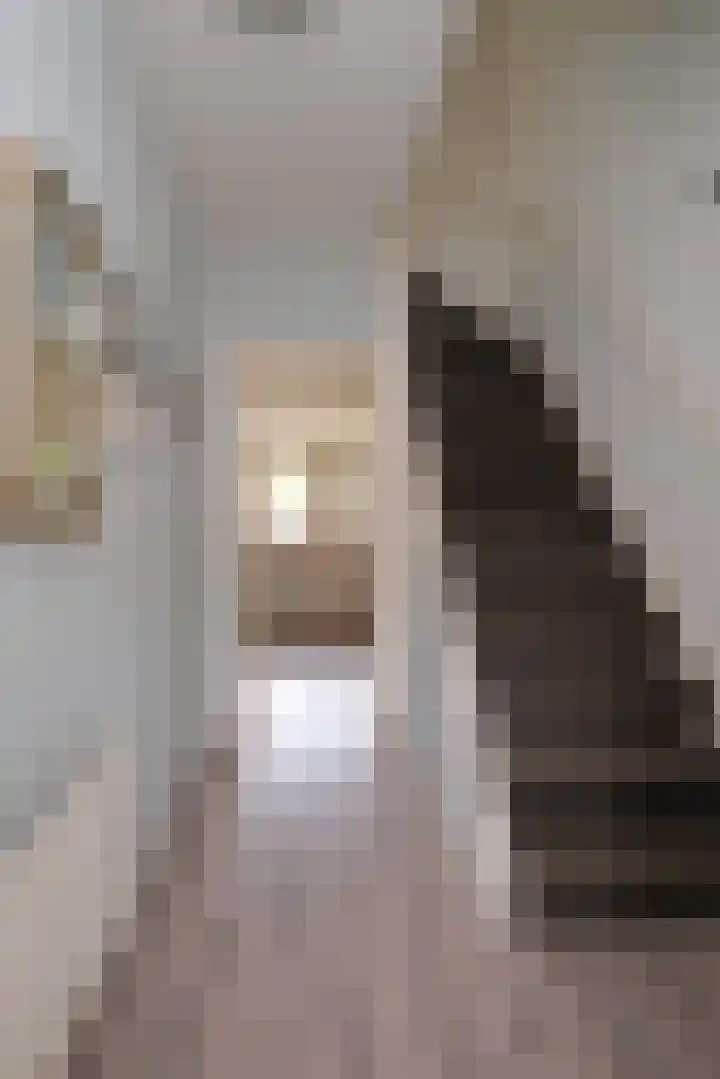 Adriaen van Ostadestraat 8 Almelo thumbnail 4