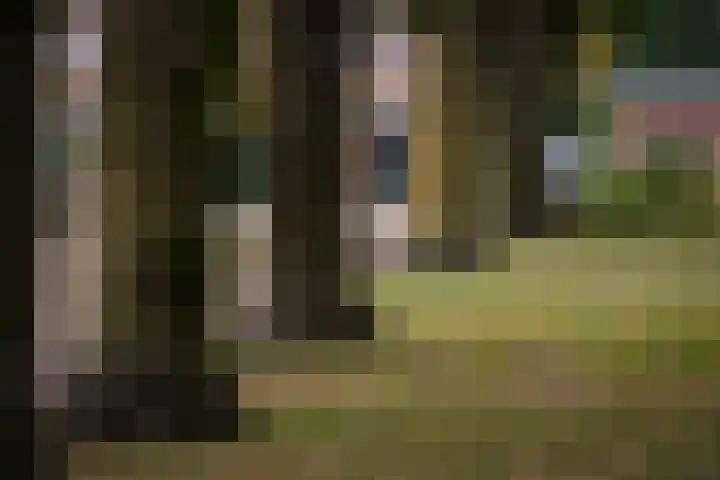 Adriaen van Ostadestraat 8 Almelo thumbnail 41