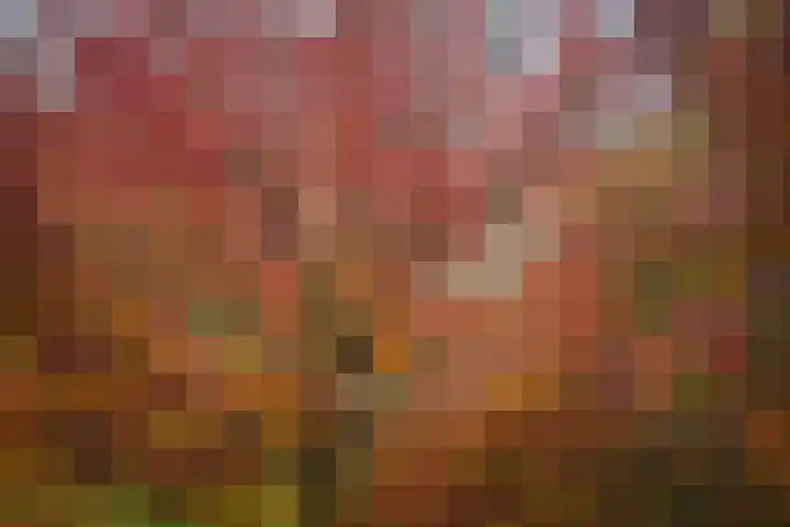 Adriaen van Ostadestraat 8 Almelo thumbnail 42