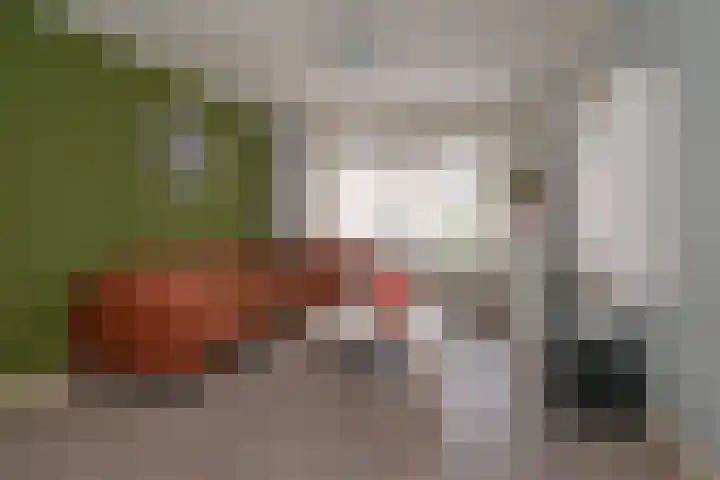 Adriaen van Ostadestraat 8 Almelo thumbnail 5