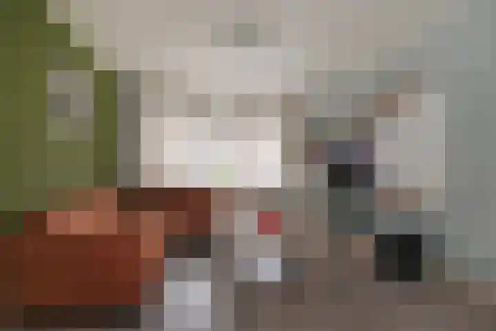 Adriaen van Ostadestraat 8 Almelo thumbnail 6