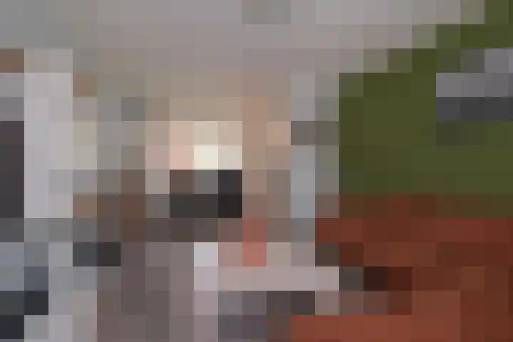 Adriaen van Ostadestraat 8 Almelo thumbnail 7