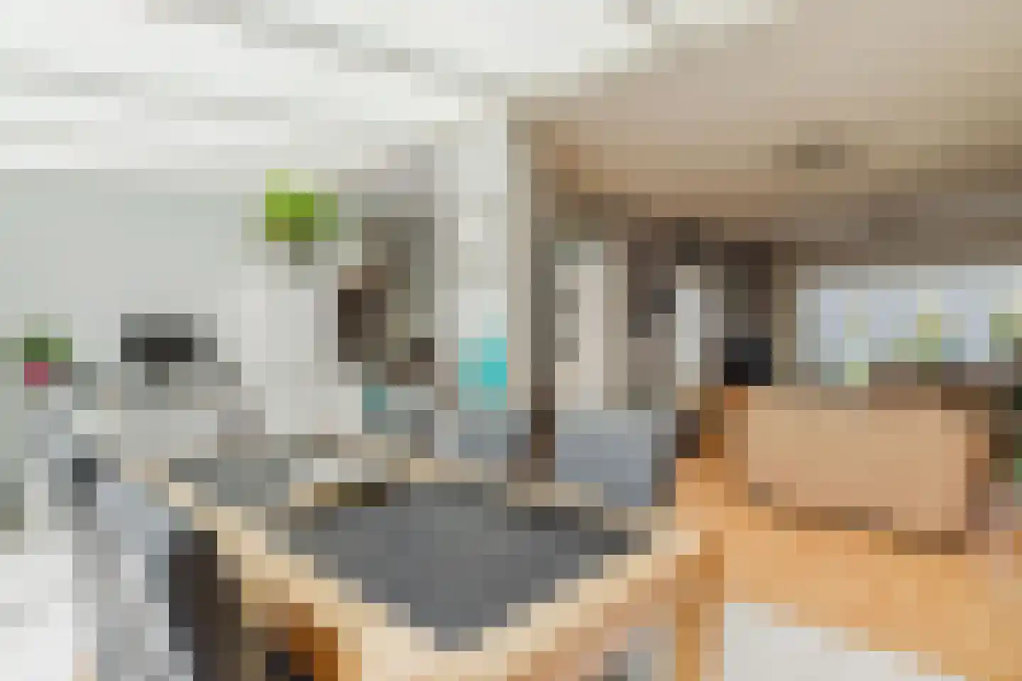 Adriaen van Ostadestraat 9 Roosendaal thumbnail 12
