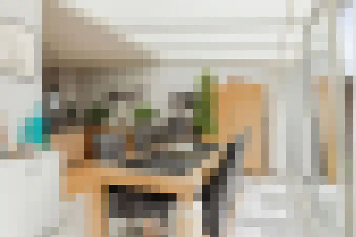 Adriaen van Ostadestraat 9 Roosendaal thumbnail 14