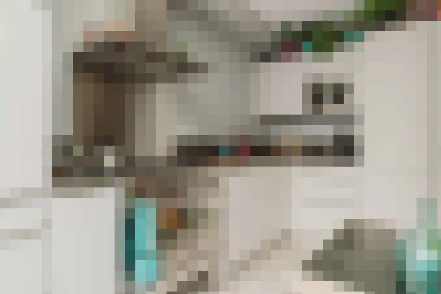 Adriaen van Ostadestraat 9 Roosendaal thumbnail 15