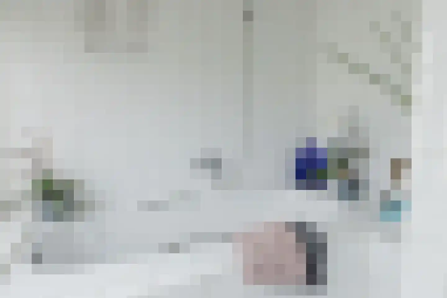 Adriaen van Ostadestraat 9 Roosendaal thumbnail 26
