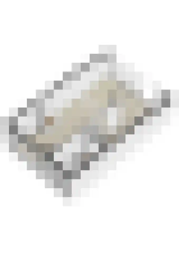 Adriaen van Ostadestraat 9 Roosendaal thumbnail 38
