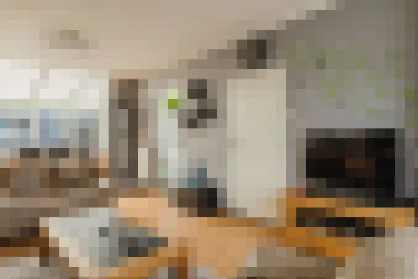 Adriaen van Ostadestraat 9 Roosendaal thumbnail 7