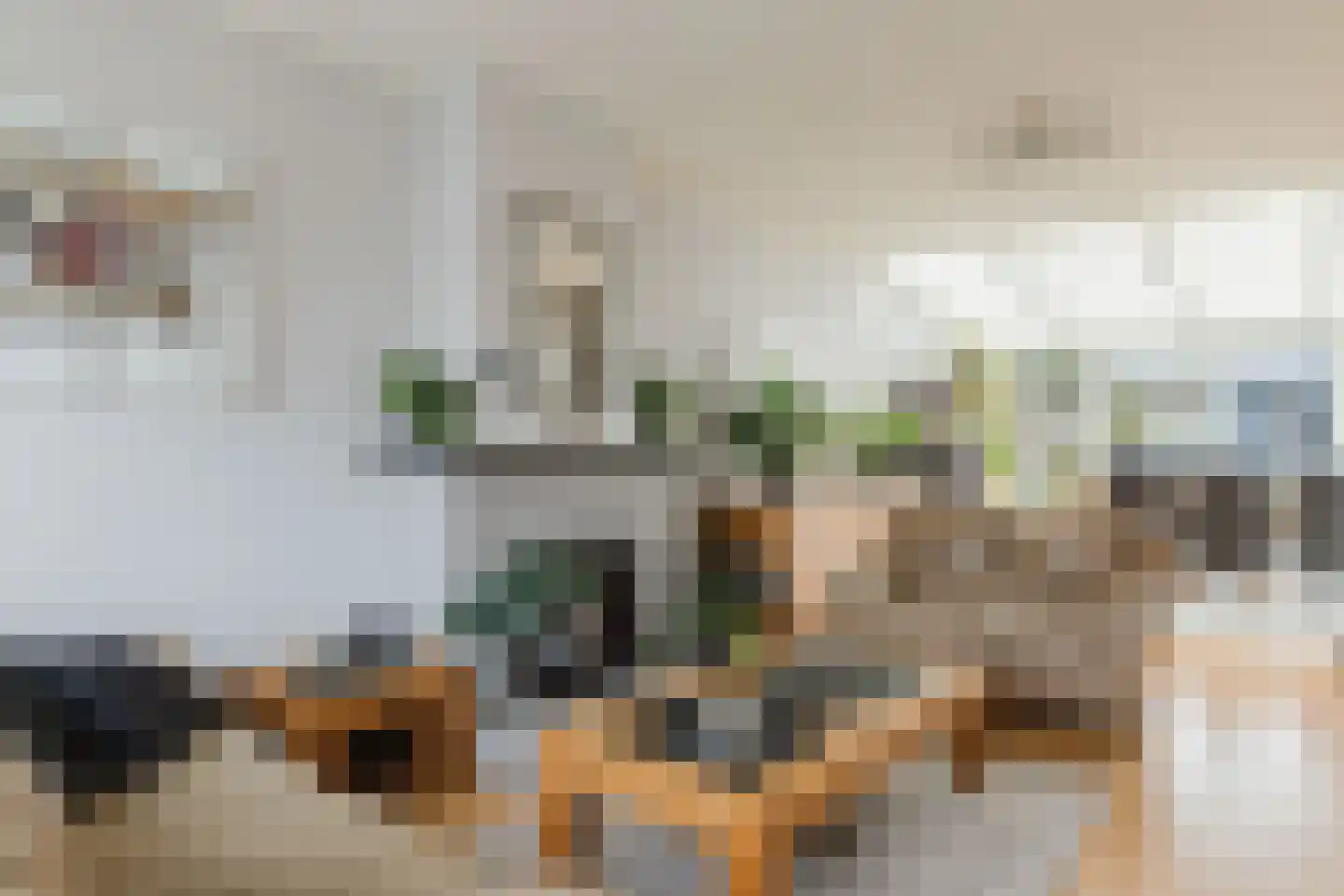 Adriaen van Ostadestraat 9 Roosendaal thumbnail 8