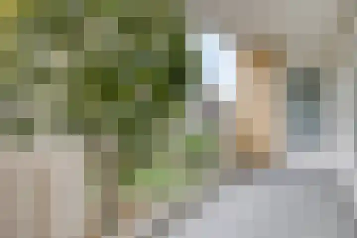 Adriaen Willaertstraat 17 's-Hertogenbosch thumbnail 23