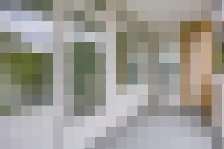 Adriaen Willaertstraat 17 's-Hertogenbosch thumbnail 24