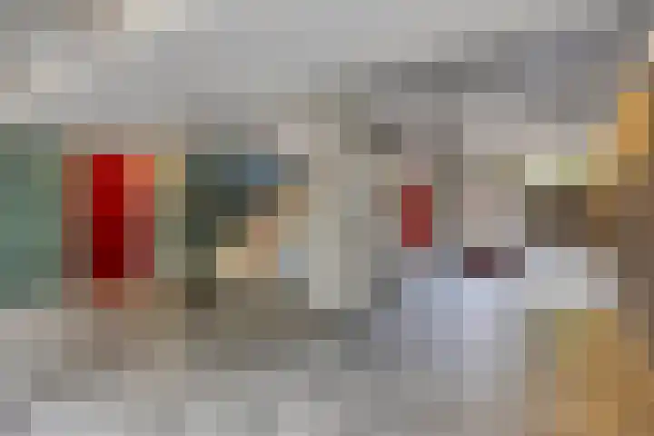 Adriaen Willaertstraat 17 's-Hertogenbosch thumbnail 25