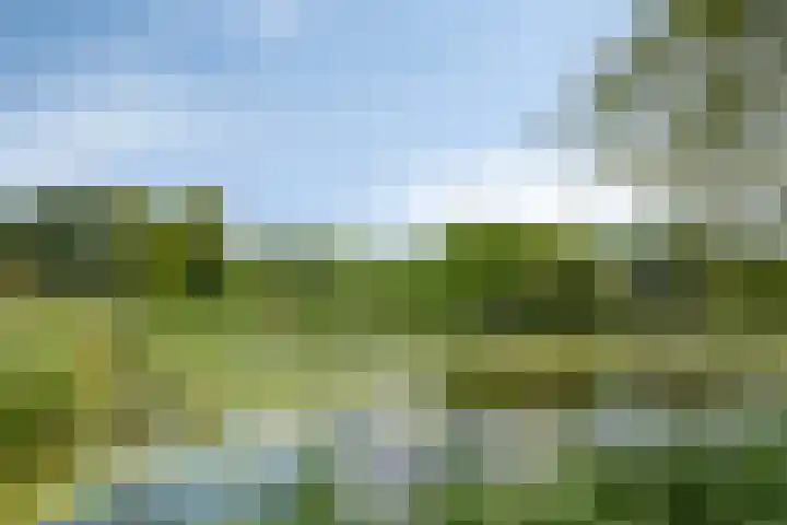 Adriaen Willaertstraat 17 's-Hertogenbosch thumbnail 30
