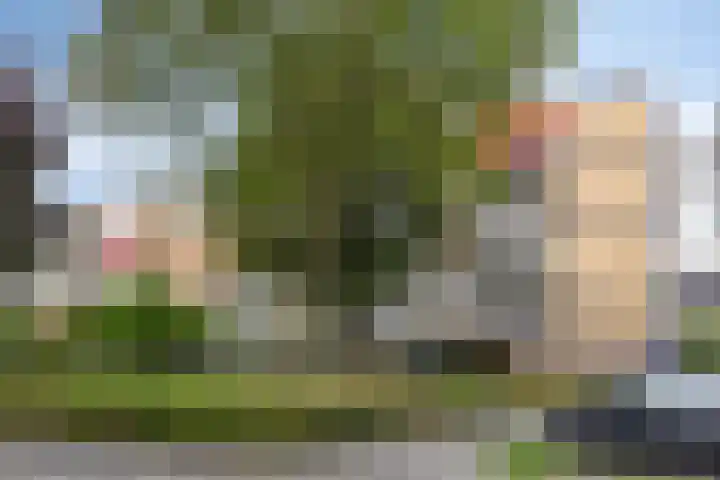 Adriaen Willaertstraat 17 's-Hertogenbosch thumbnail 32
