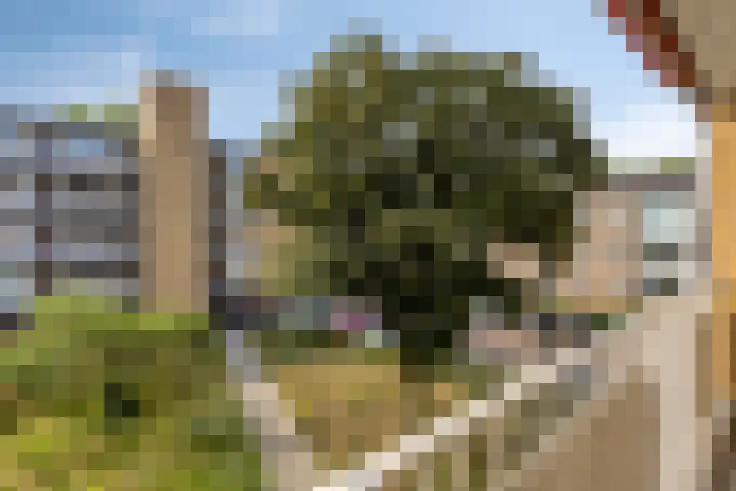 Adriaen Willaertstraat 29 's-Hertogenbosch thumbnail 25