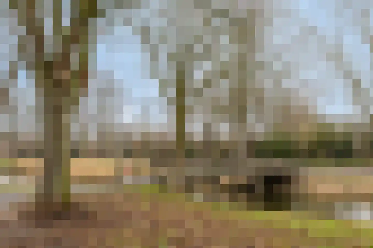 Adriaen Willaertstraat 39 's-Hertogenbosch thumbnail 38