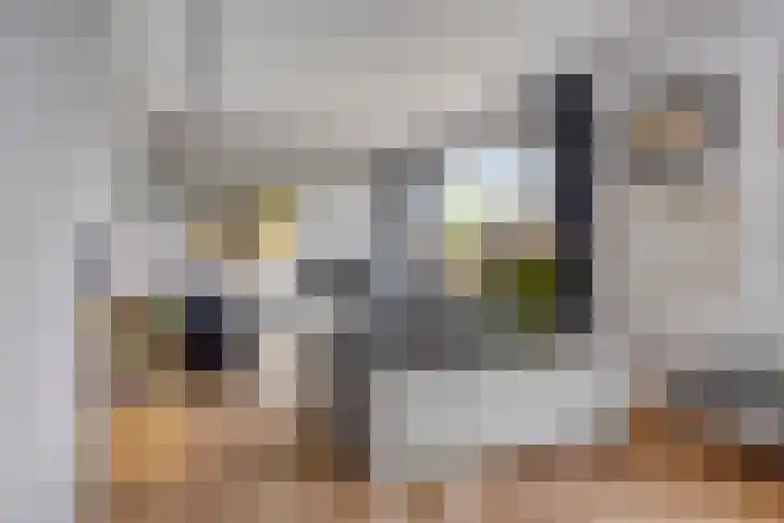 Adriaen Willaertstraat 47 's-Hertogenbosch thumbnail 12